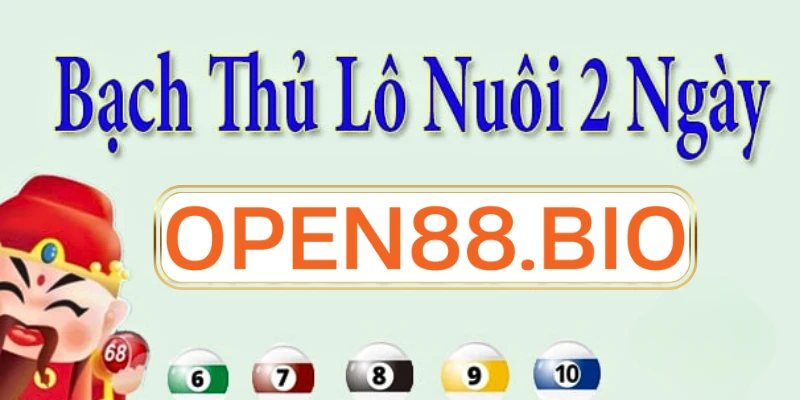 Nuôi lô bạch thủ khung 2 ngày: Chiến thuật đỉnh cao cho lô thủ Lưu ý khi nuôi lô bạch thủ khung 2 ngày năm 2026